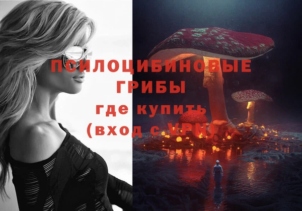 мдма Бородино