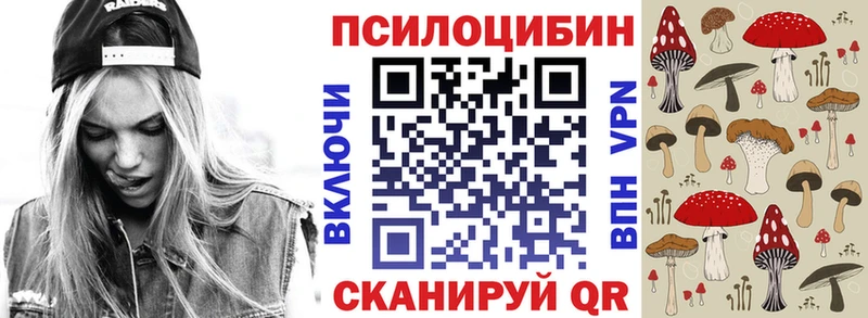 где продают наркотики  Высоковск  Галлюциногенные грибы MAGIC MUSHROOMS 