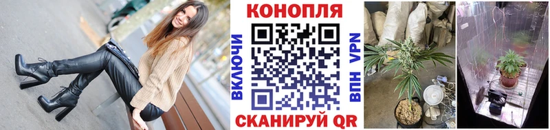 Шишки марихуана план  mega сайт  Высоковск 